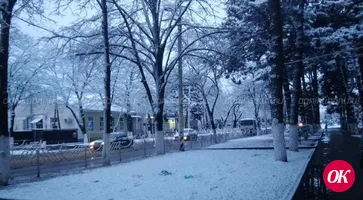 В первый рабочий день на Кубани сохранится неустойчивая погода с мокрым снегом и сильным ветром