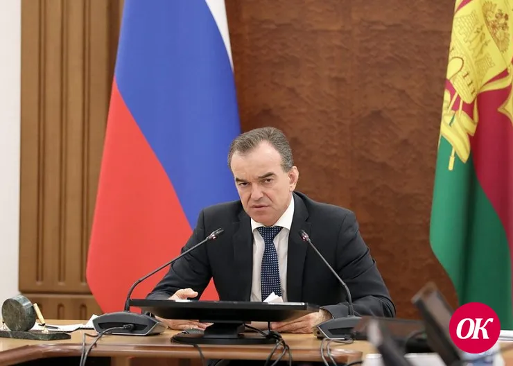 По решению губернатора многодетные семьи Кубани получат в мае краевую единовременную выплату