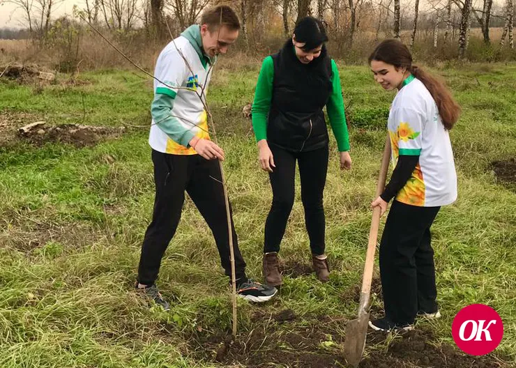 <strong>Молодежь поселка имени М.Горького высадила в парке клены</strong>