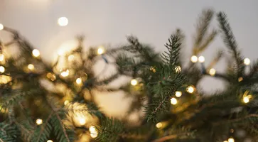 https://ognikubani.ru/wp-content/uploads/2022/12/christmas-tree-decorated-by-lights