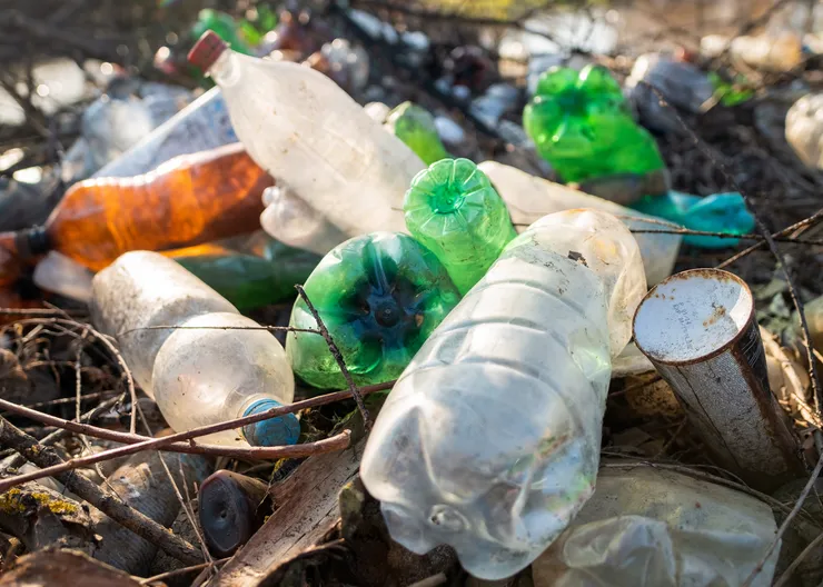 https://ognikubani.ru/wp-content/uploads/2023/03/ground-littered-with-plastic-bottles