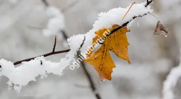 https://ognikubani.ru/wp-content/uploads/2019/10/s1200-1