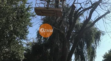 https://ognikubani.ru/wp-content/uploads/2019/09/IMG_20190913_105906_308