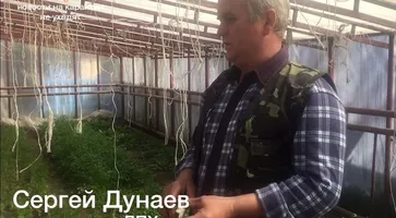 https://ognikubani.ru/wp-content/uploads/2020/04/WhatsApp-Image-2020-04-08-at-12.33.14-1