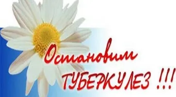 http://www.ognikuban.tw1.ru/wp-content/uploads/2014/03/56419