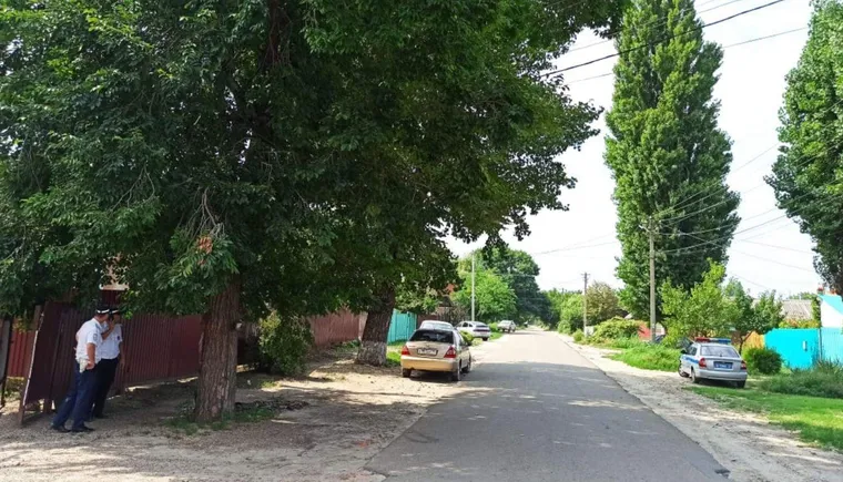 https://ognikubani.ru/wp-content/uploads/2021/09/ognikubani.ru-1