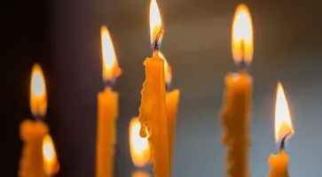 https://ognikubani.ru/wp-content/uploads/2021/03/wsi-imageoptim-281610144582-6_b-1