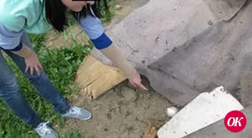 Проблема существует, пока есть спрос