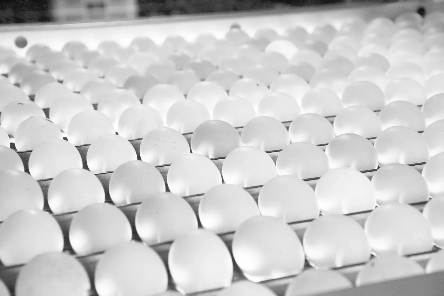 Партия яиц готова к отправке в инкубаторий.