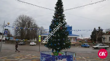 В станице Кавказской новогоднюю елку установили первыми в районе