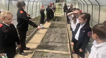 https://ognikubani.ru/wp-content/uploads/2022/06/image-03-06-22-11-45