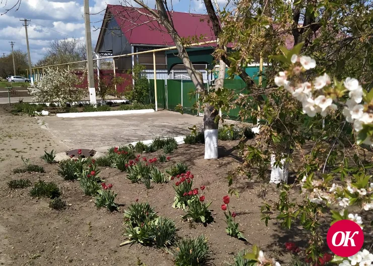 Жители хутора Лосево трудятся на клумбах у своих домов