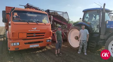 У земледельцев нет выходных — только убрали зерновые, подоспела сахарная свекла. Все двадцать восемь сельхозпредприятий района убирают сахарную свеклу