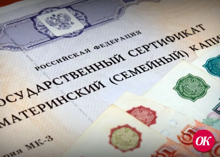 Материнский капитал на первого ребенка, а также жилищные выплаты на детей начнут оформлять уже в марте-апреле 2020-го