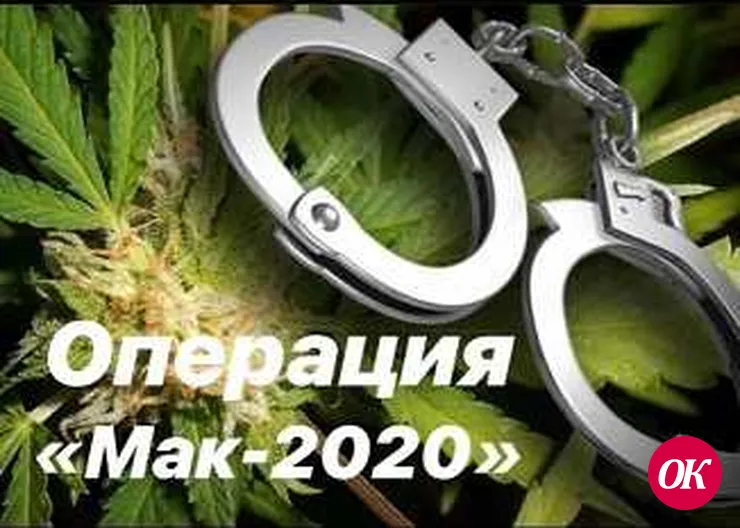 В Кавказском районе проводится 5 этап операции «Мак-2020»