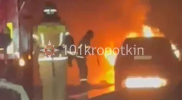 https://ognikubani.ru/wp-content/uploads/2022/02/ognikubani.ru-1-10