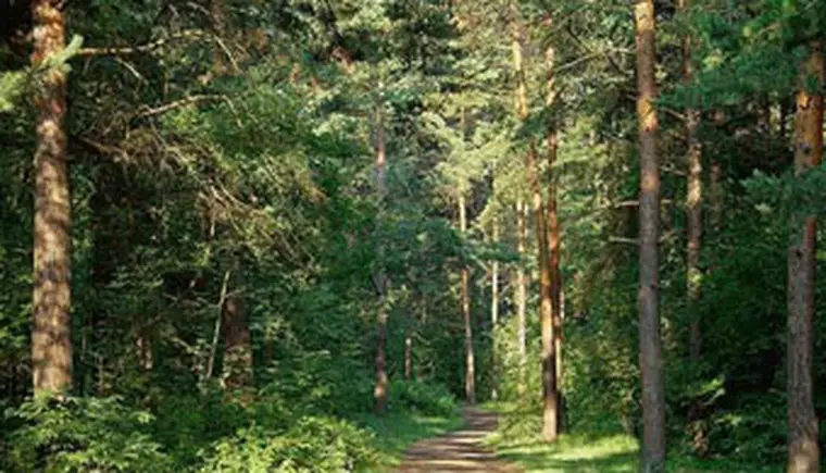 http://www.ognikuban.tw1.ru/wp-content/uploads/2016/04/komarovoforever