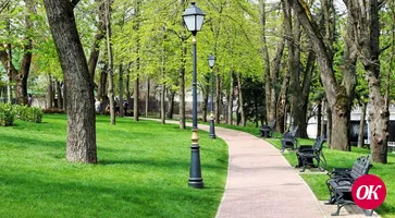За первую неделю в голосовании по благоустройству на Кубани приняли участие свыше 88 тысяч человек