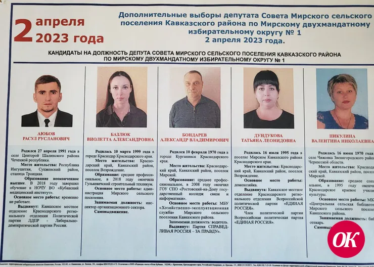 Предварительные итоги допвыборов депутата Совета в пос.Мирском