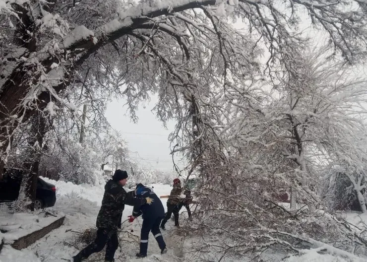 photo_2026-01-02_11-11-16