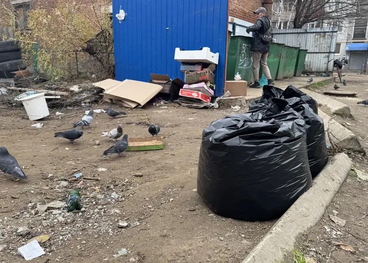 photo_5300746859343186820_y