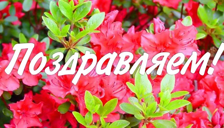 https://ognikubani.ru/wp-content/uploads/2022/05/ognikubani.ru-2-12