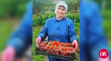 Семья бывшего военнослужащего создала на своем участке райский уголок