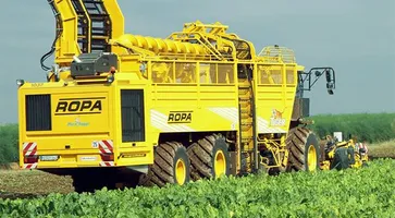 https://ognikubani.ru/wp-content/uploads/2020/08/147263_09-sugar-beet-ropa