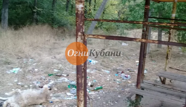 https://ognikubani.ru/wp-content/uploads/2019/10/WhatsApp-Image-2019-10-08-at-13.30.50