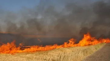 https://ognikubani.ru/wp-content/uploads/2021/08/ognikubani.ru_-10