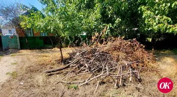 Не по-соседски