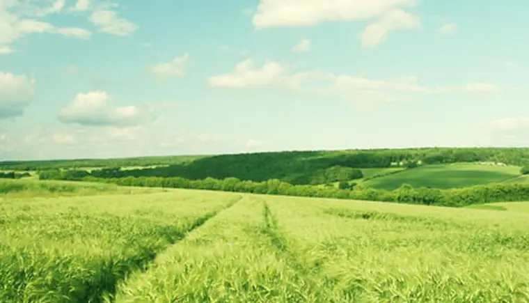 http://www.ognikuban.tw1.ru/wp-content/uploads/2015/06/hq-wallpapers_0