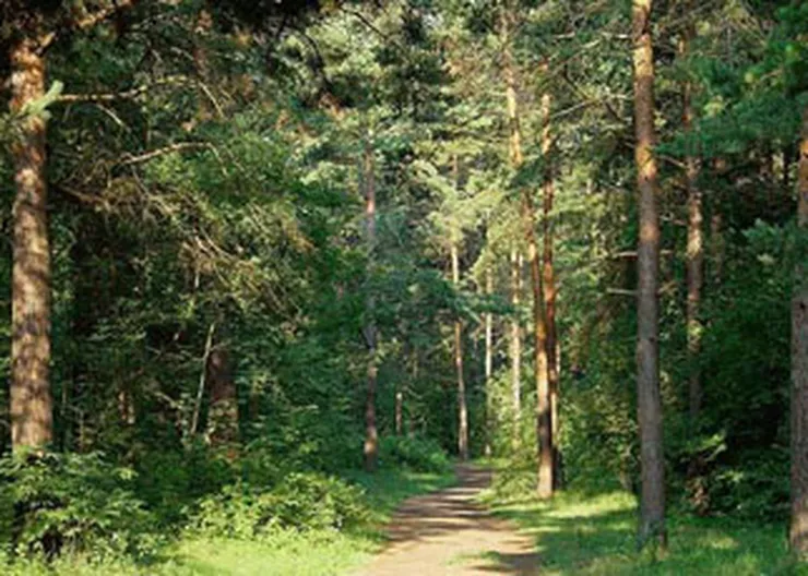 http://www.ognikuban.tw1.ru/wp-content/uploads/2016/04/komarovoforever