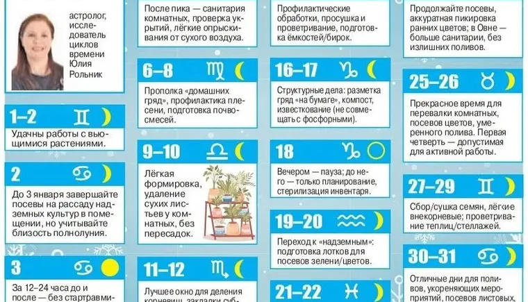 photo_2026-01-12_10-03-28