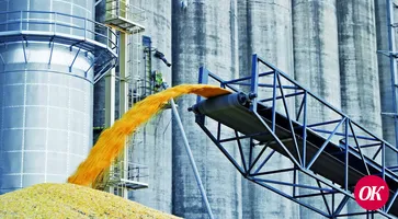 Прокуратурой Кавказского района утверждено обвинительное заключение в отношении специалиста по кадрам АО «Кропоткинский элеватор»