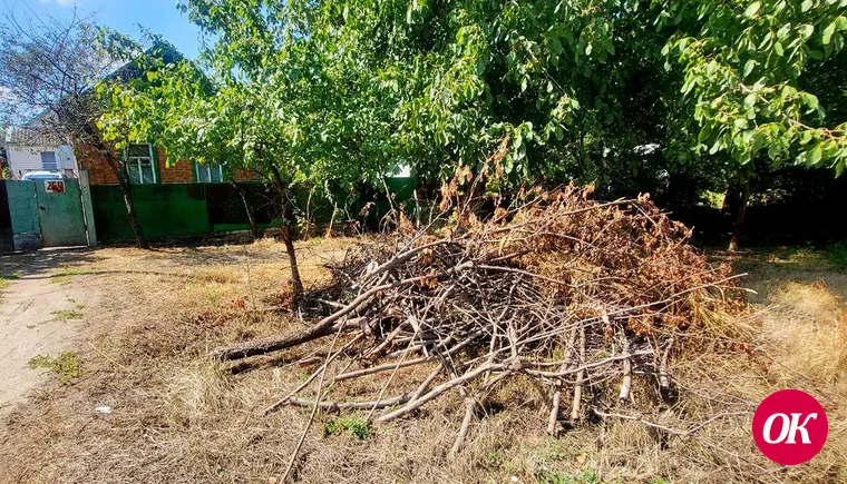 Не по-соседски