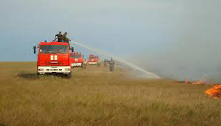 https://ognikubani.ru/wp-content/uploads/2022/06/загружено_1