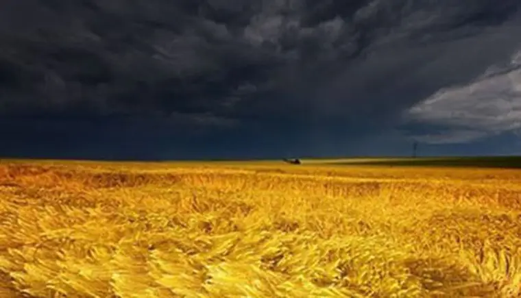 http://www.ognikuban.tw1.ru/wp-content/uploads/2016/06/1407584919_1057293078