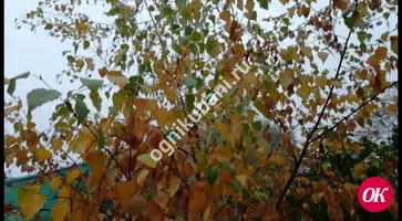 "ОК" спросили прохожих на улицах Кропоткина : "Как вам дождливая погода?"
