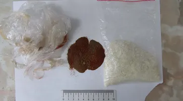 В Кропоткине транспортные полицейские задержали гражданина, перевозившего наркотические средства в поезде «Санкт-Петербург – Владикавказ»