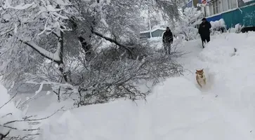 BAF6E210-9808-4162-B87F-357A9D723F03