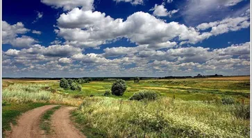 http://www.ognikuban.tw1.ru/wp-content/uploads/2015/06/werq6d3ca8a7_XL