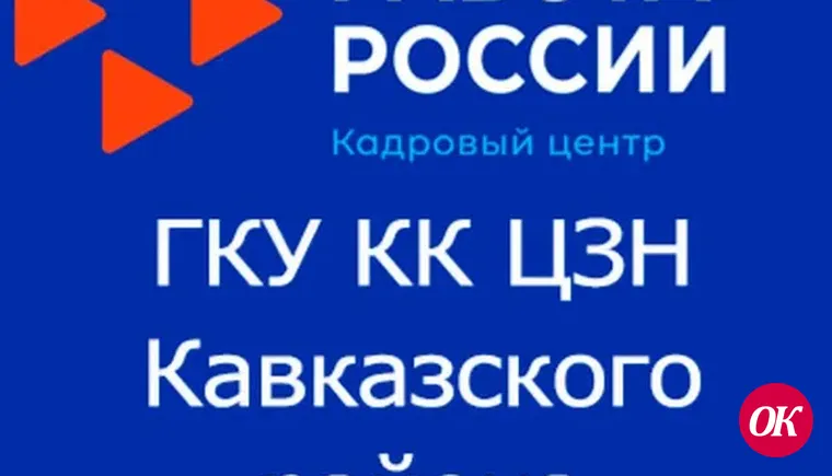 О предоставлении отчетности