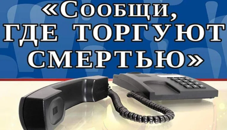 https://ognikubani.ru/wp-content/uploads/2021/10/ognikubani.ru-29