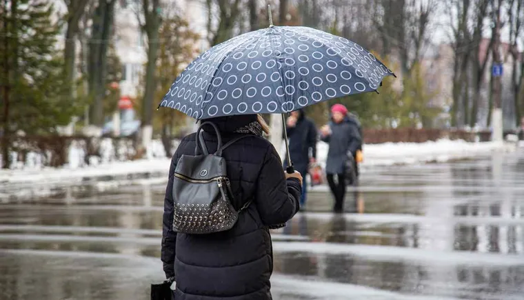https://ognikubani.ru/wp-content/uploads/2021/03/dozhd_8