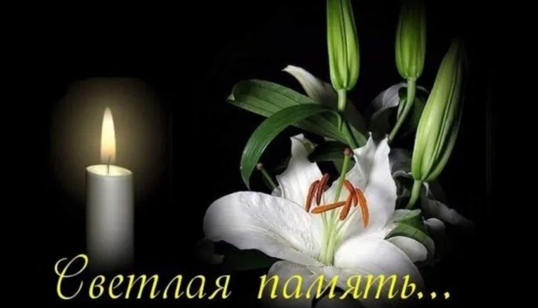 https://ognikubani.ru/wp-content/uploads/2021/11/ognikubani.ru-13