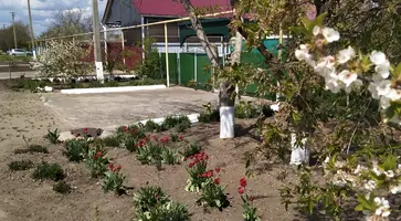 https://ognikubani.ru/wp-content/uploads/2020/04/WhatsApp-Image-2020-04-22-at-11.58.59