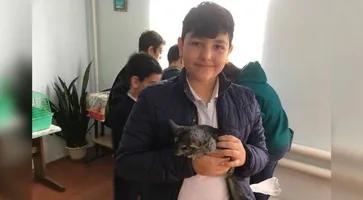 https://ognikubani.ru/wp-content/uploads/2021/05/ognikubani.ru-5