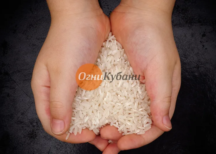 https://ognikubani.ru/wp-content/uploads/2019/09/Fotolia_80462369_Subscription_Monthly_M