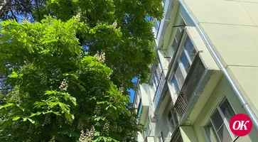 На Кубани в середине рабочей недели сохранится неустойчивая погода с кратковременными дождями